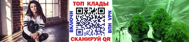 Какие есть наркотики Дмитровск Конопля Alpha-PVP КОКАИН ГАШИШ Меф мяу мяу