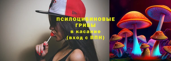apvp Лихославль